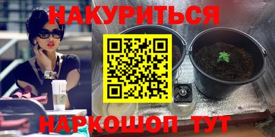 PSILOCYBIN Дубна
