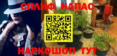 винт Донецк