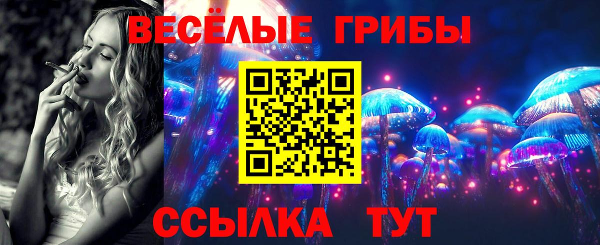 Псилоцибиновые грибы MAGIC MUSHROOMS  Псилоцибиновые грибы GOLDEN TEACHER  Лянтор  Вход с VPN 